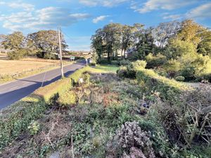 Photo 5- click for photo gallery